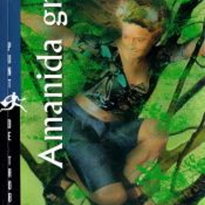 Amanida grega 1