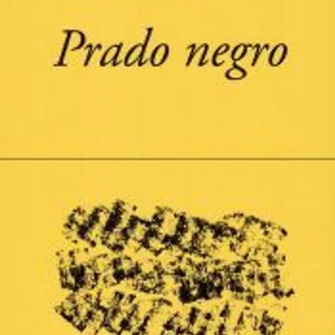 PRADO NEGRO 1