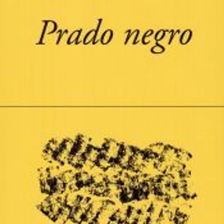 PRADO NEGRO 1