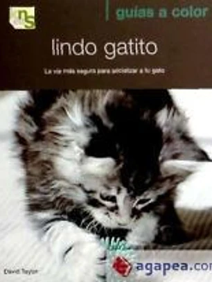Lindo gatito: La vía más segura para socializar a tu gato