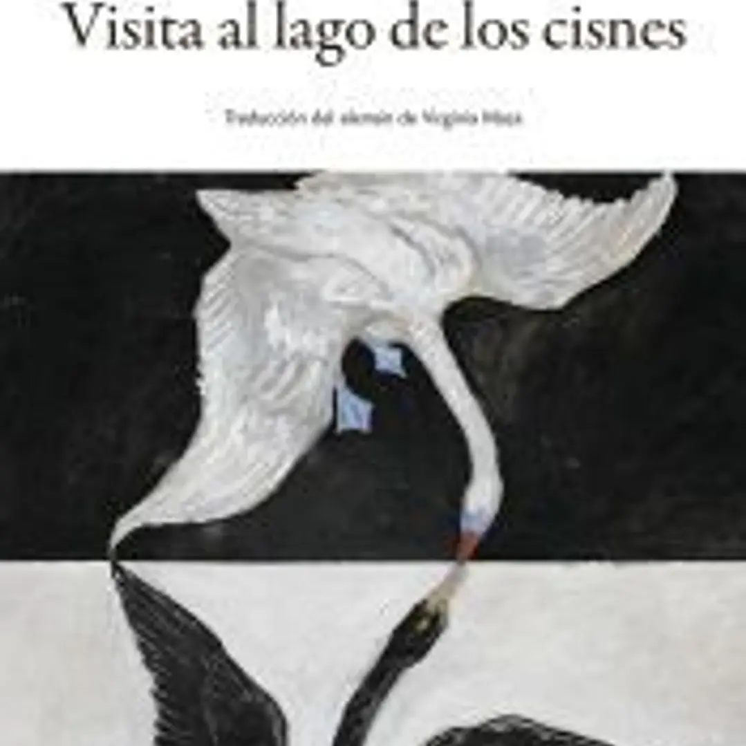 Visita al lago de los cisnes 1