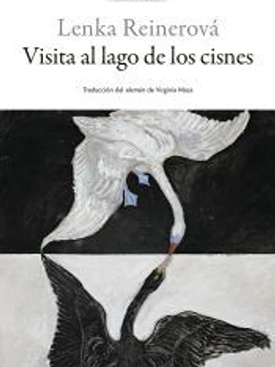 Visita al lago de los cisnes