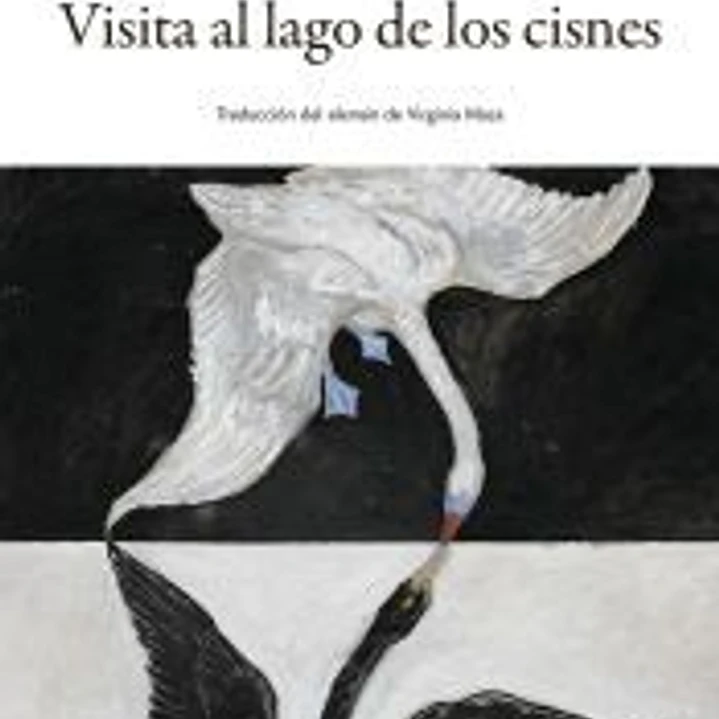 Visita al lago de los cisnes 1