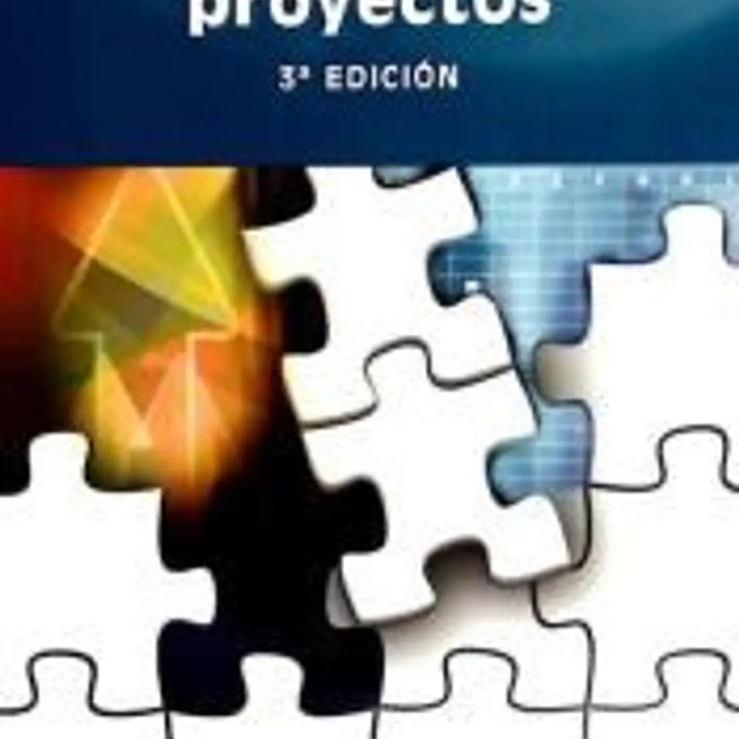 EL ARTE DE DIRIGI PROYECTOS. 3ª EDICION 1