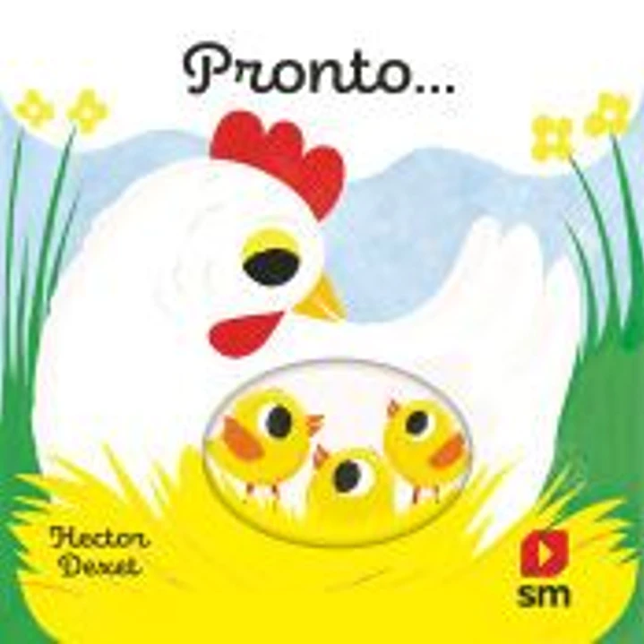 Pronto 1