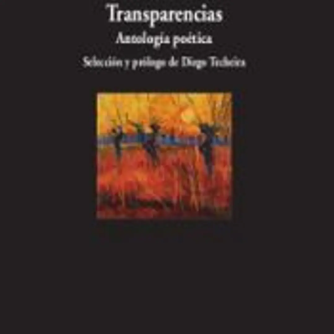 Transparencias 1
