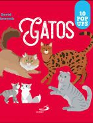 Gatos