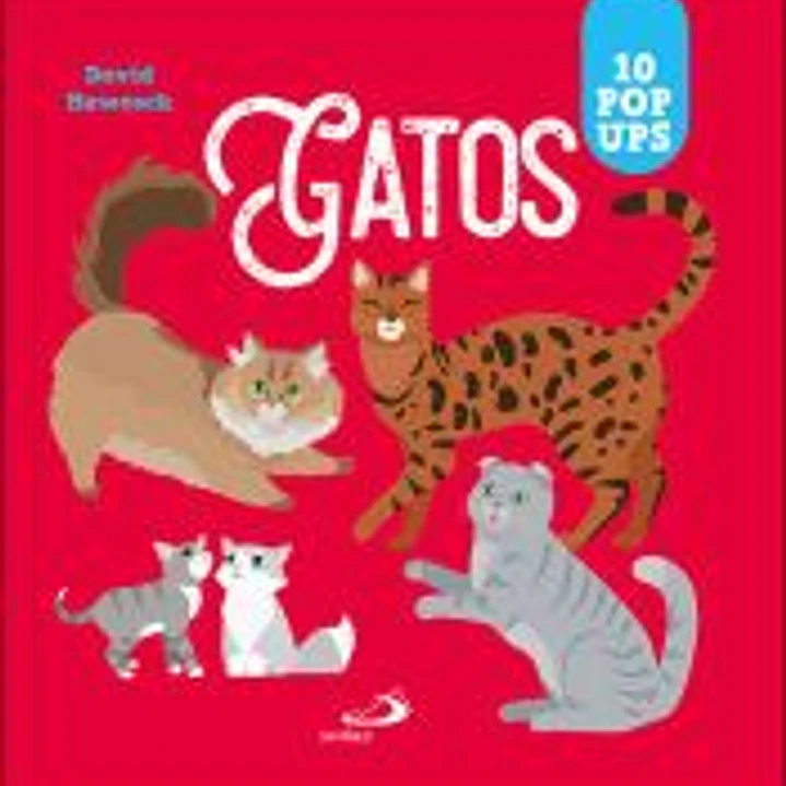 Gatos 1