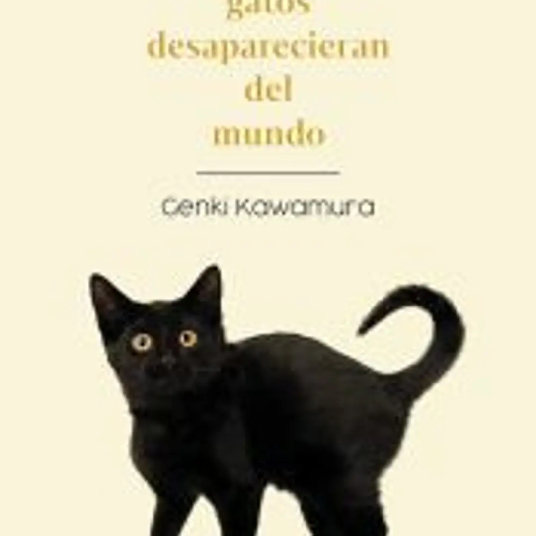 Si los gatos desaparecieran del mundo 1