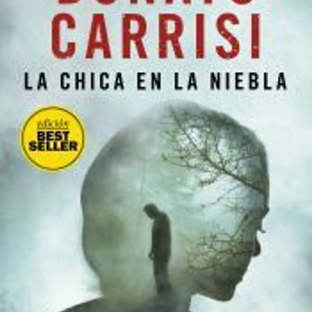 La chica en la niebla 1