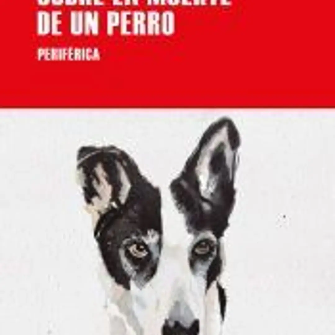 Sobre la muerte de un perro 1