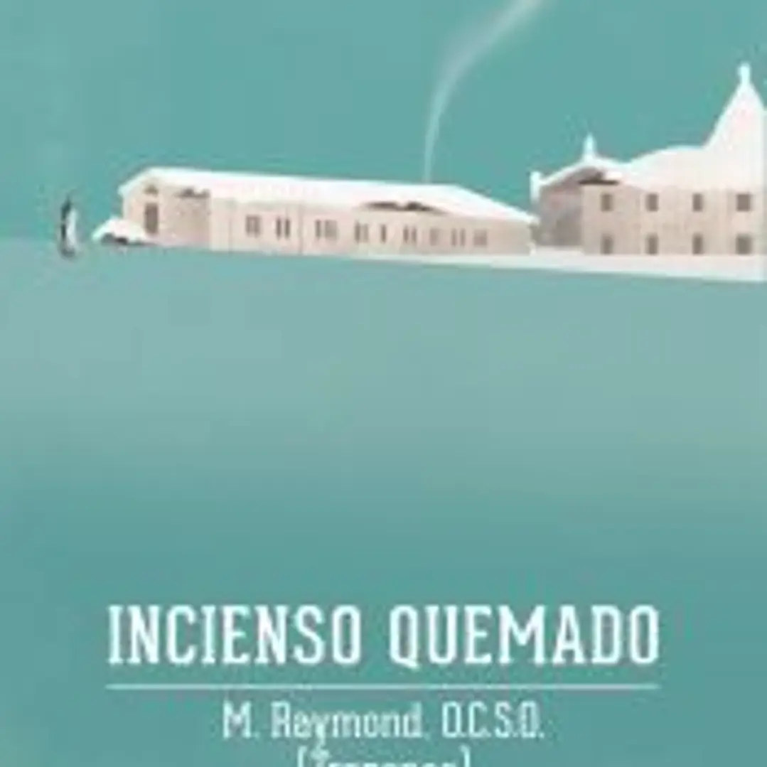 Incienso quemado 1