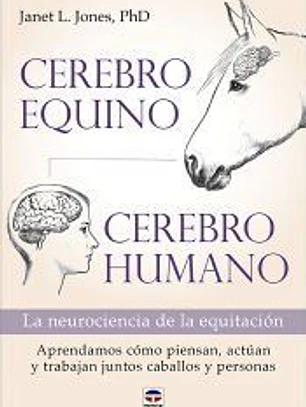 Cerebro equino, cerebro humano