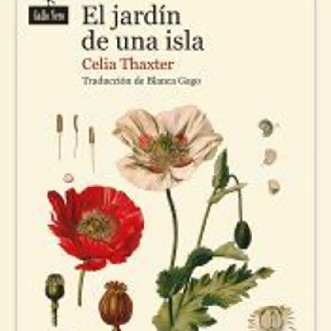 El jardín de una isla 1