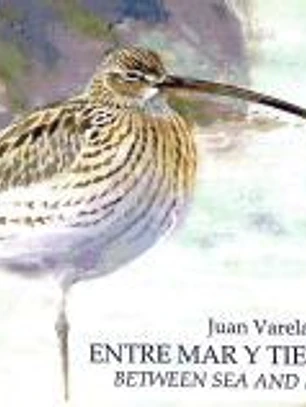 Entre Mar y Tierra / Between Sea and Land