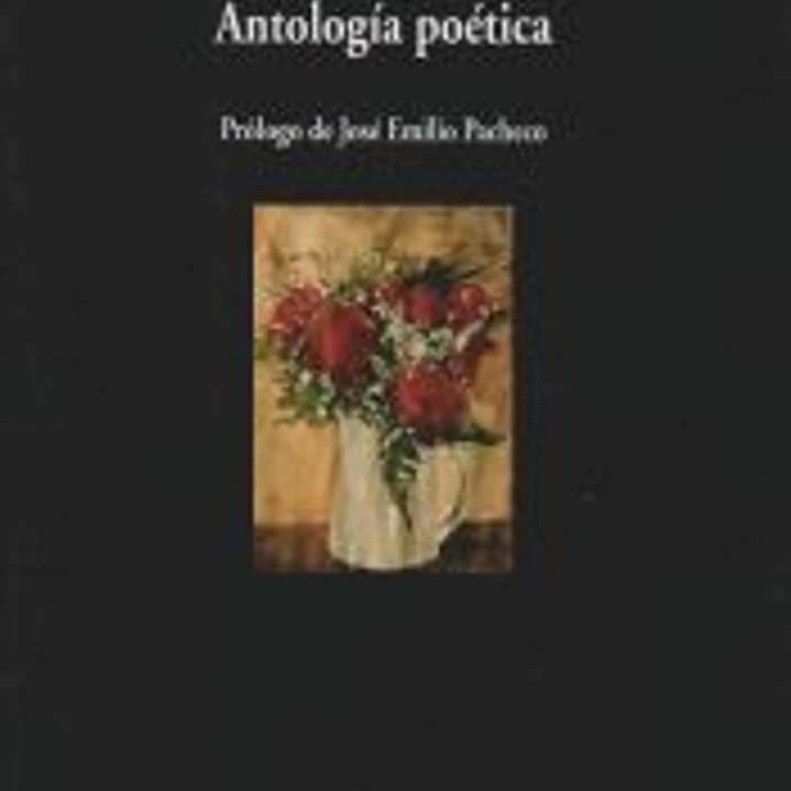 Antología poética 1