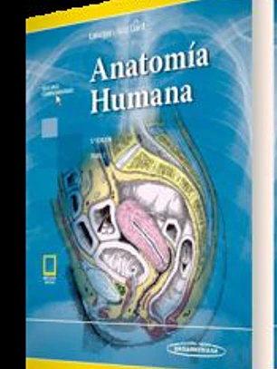 Anatomía Humana Tomo 2. Incluye Ebook