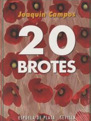 Veinte brotes