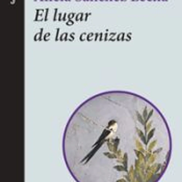 El lugar de las cenizas 1