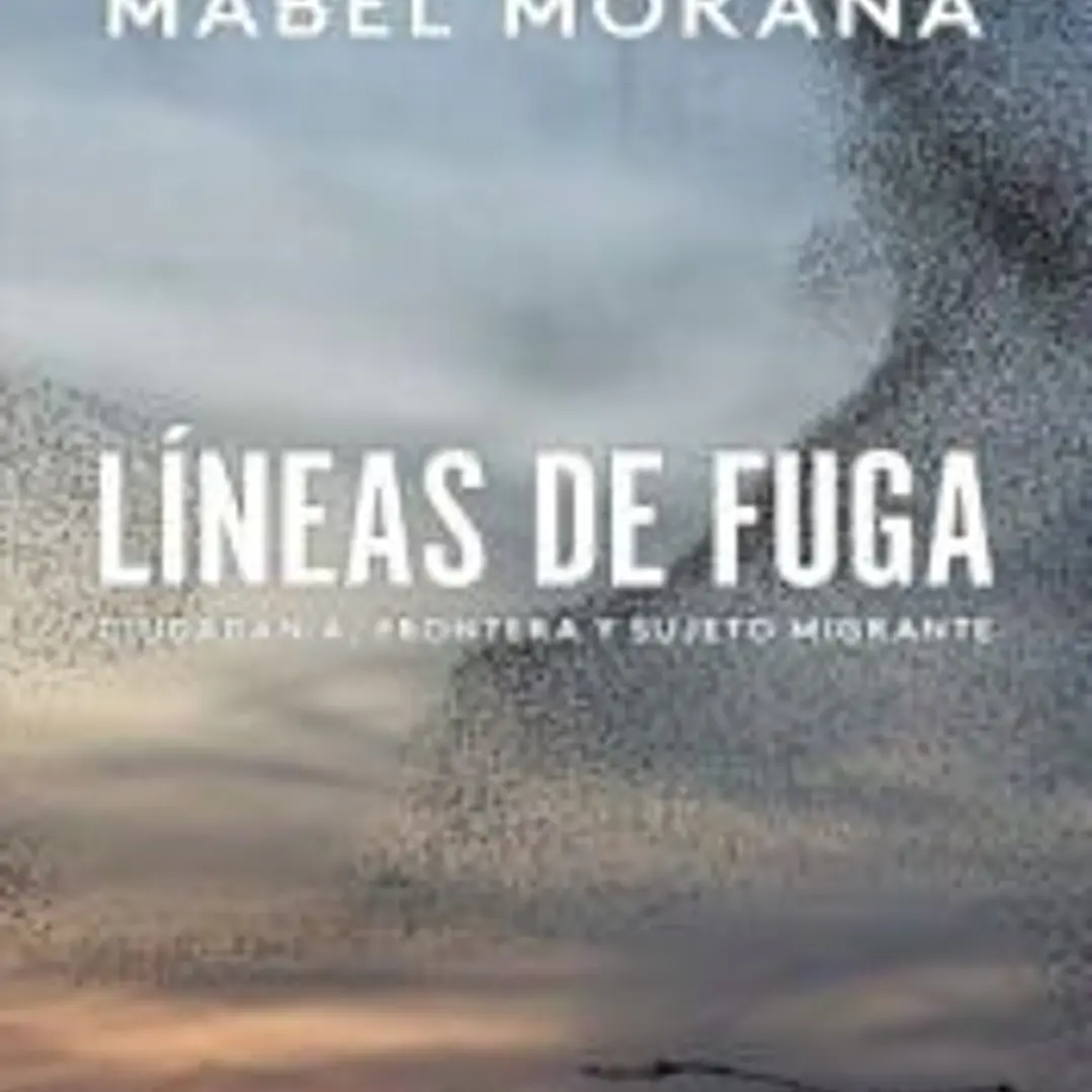 Líneas de fuga: ciudadanía, frontera y sujeto migrante 1