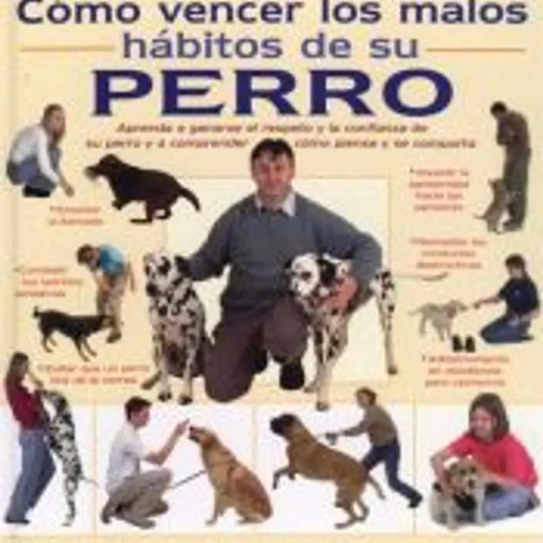 CÓMO VENCER LOS MALOS HÁBITOS DE SU PERRO 1