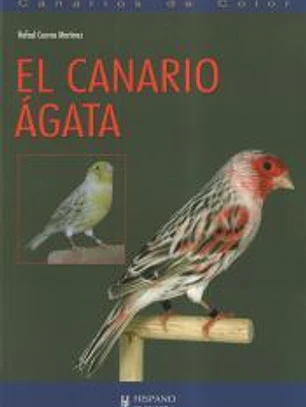 El canario ágata