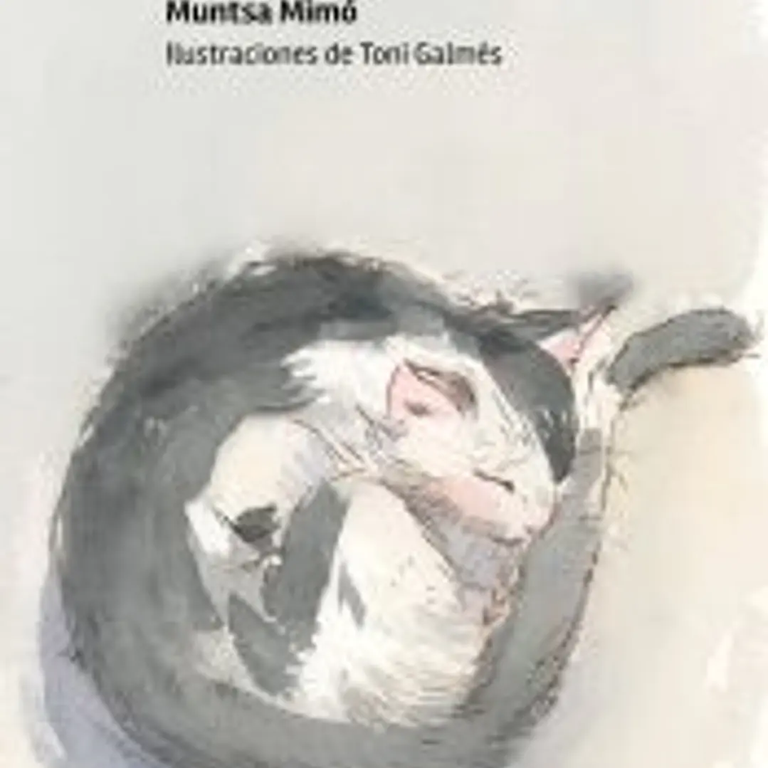 Que te pasa miula 1