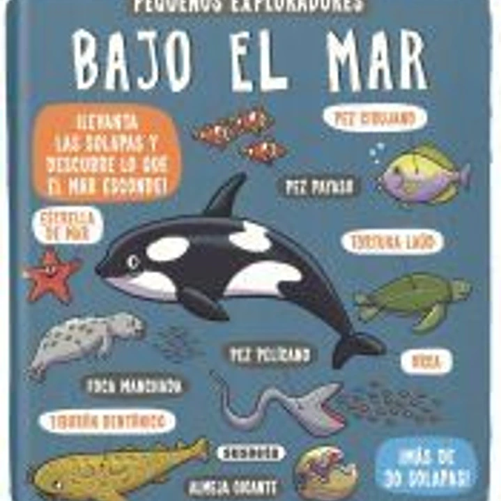 Bajo el mar 1