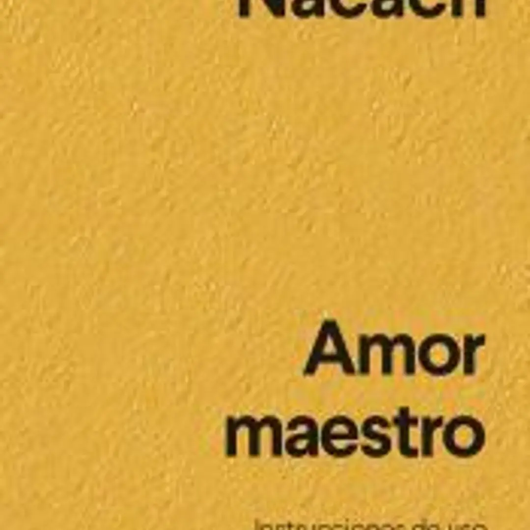 Amor maestro 1