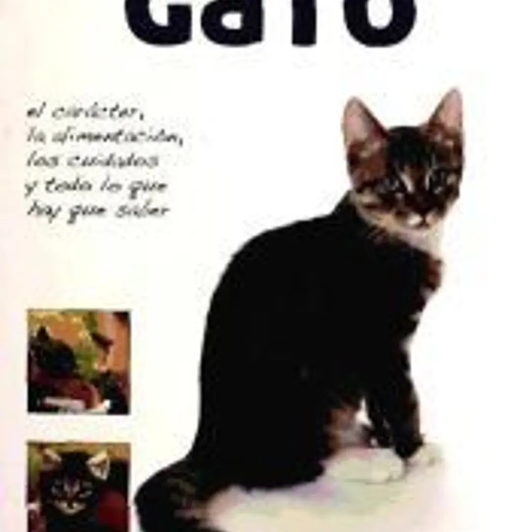 Mi... Gato  1