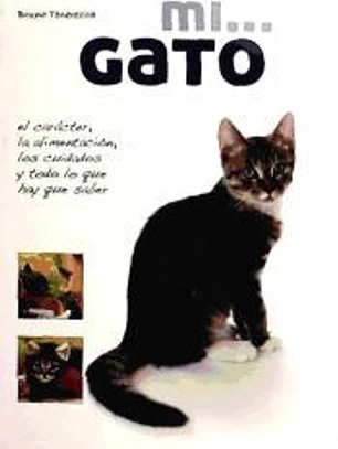 Mi... Gato 