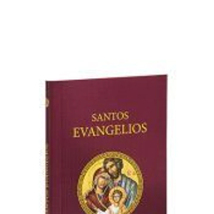 Santos Evangelios 1