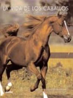 LA VIDA DE LOS CABALLOS