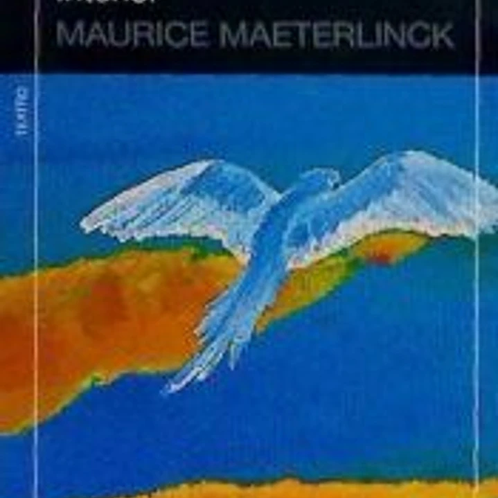 El pájaro azul 1
