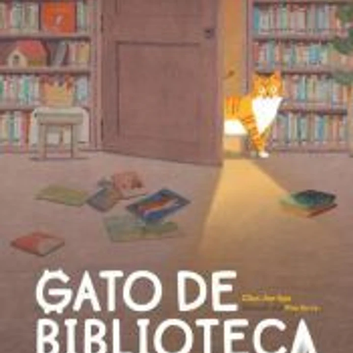 Gato de biblioteca 1