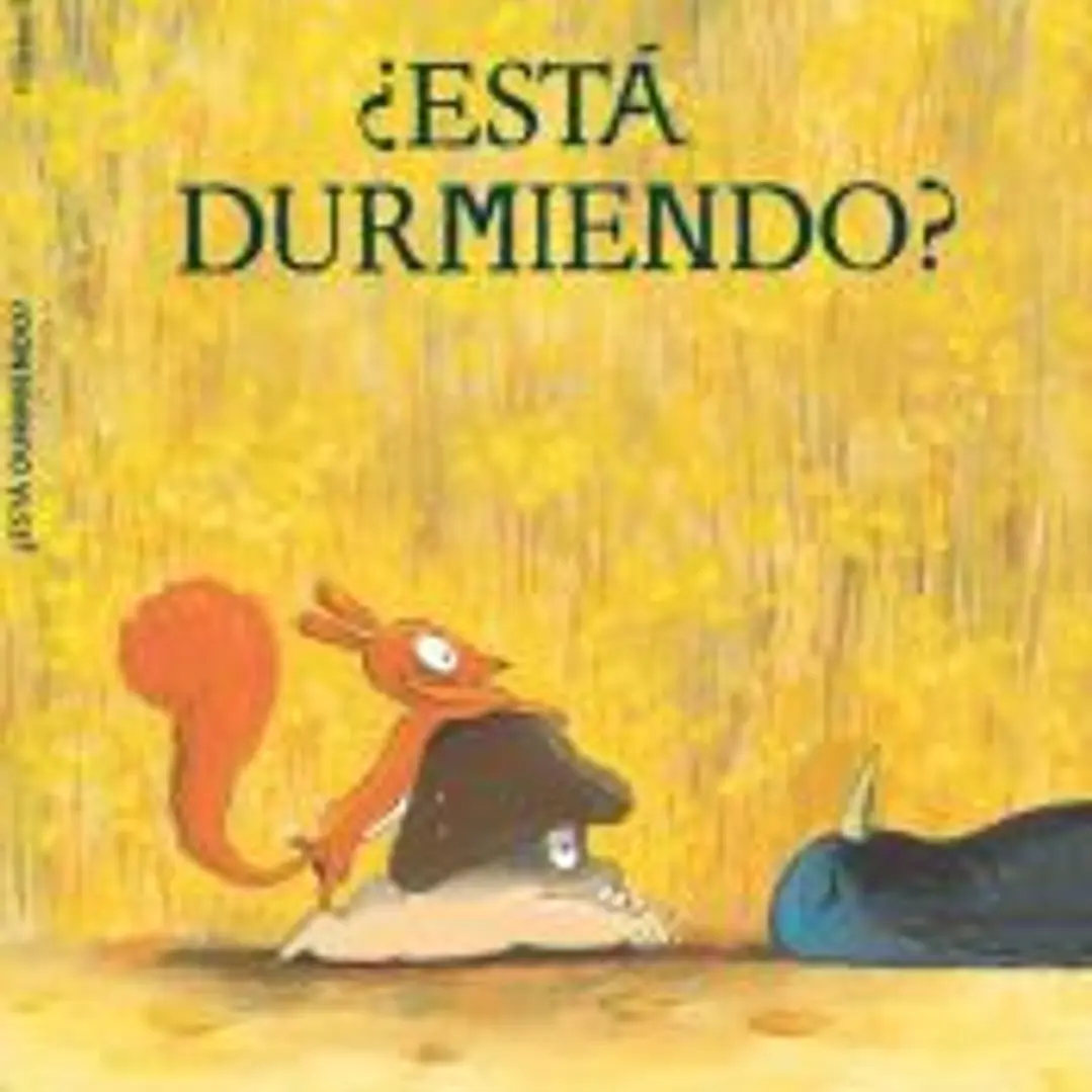 ¿Está durmiendo? 1