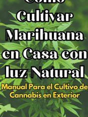 Cómo Cultivar Marihuana en Casa con luz Natural Manual Para el Cultivo de Cannabis en Exterior