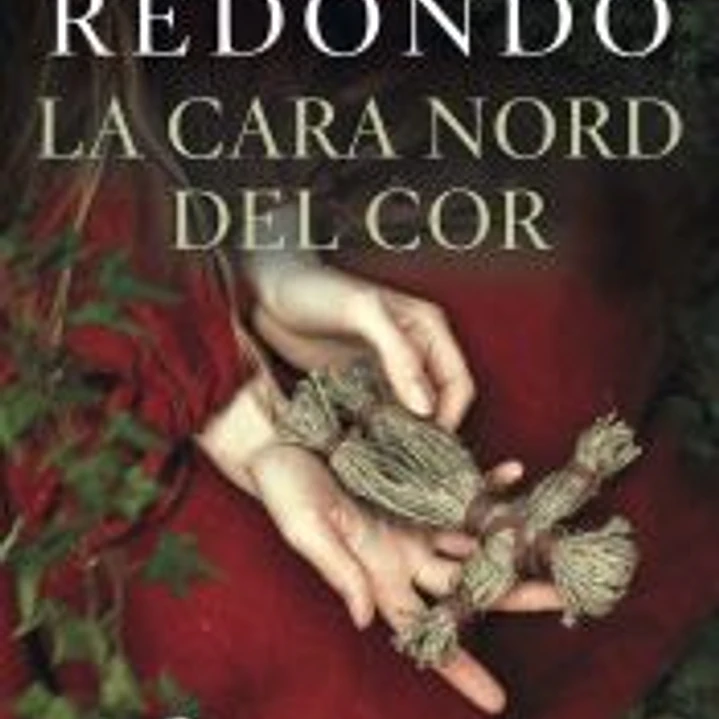 La cara nord del cor 1