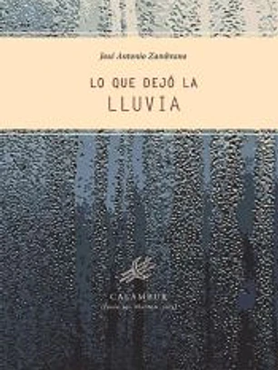Lo que dejó la lluvia