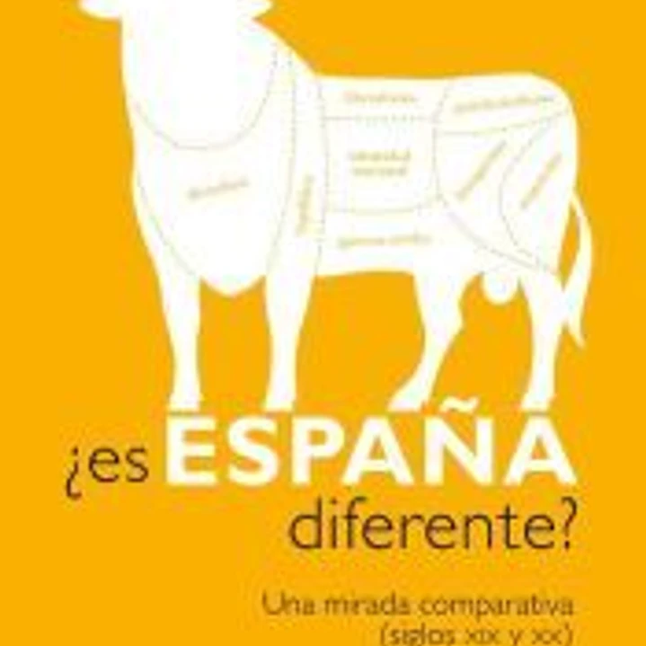 ¿Es España diferente? 1