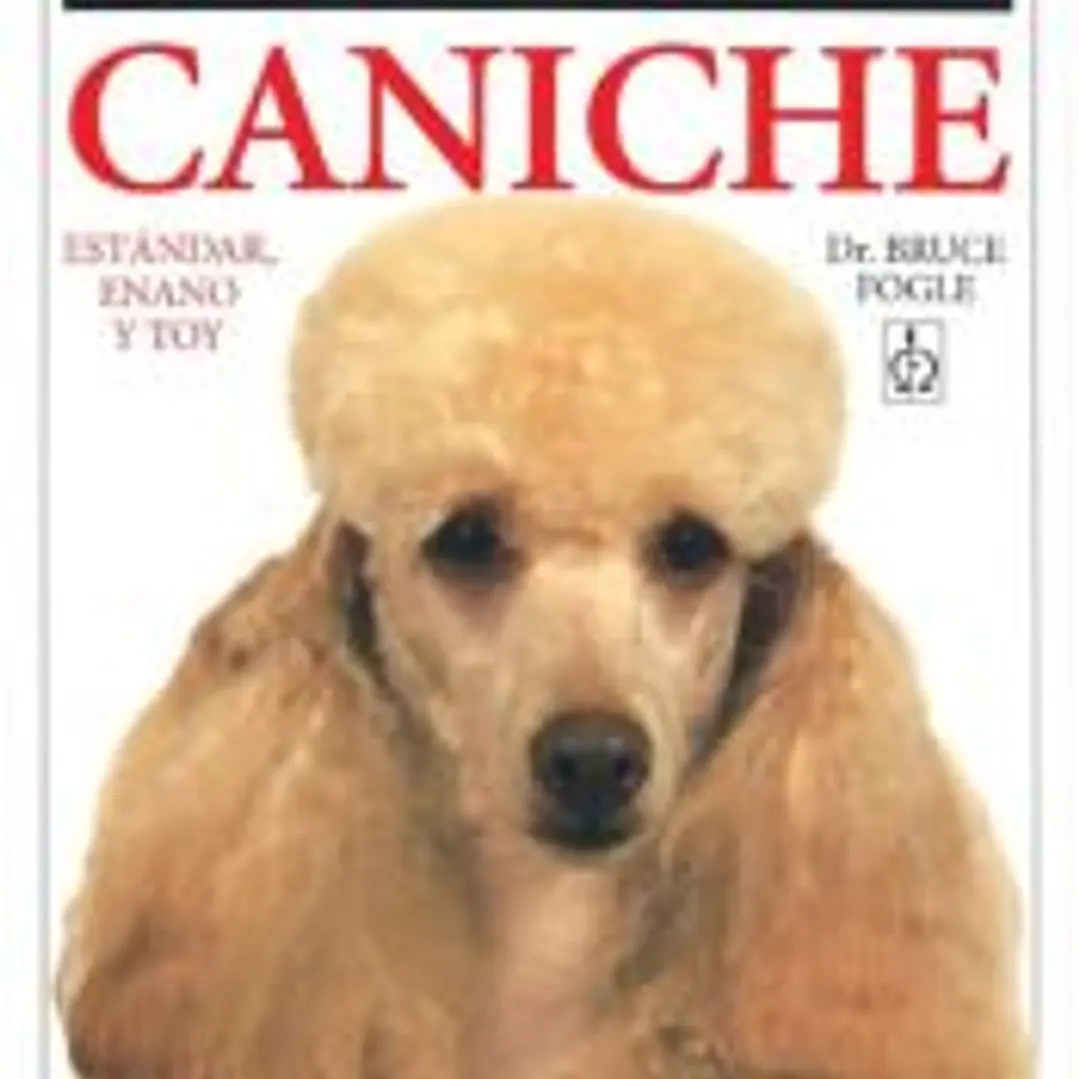 CANICHE 1