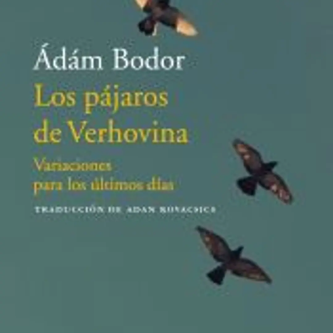 Los pájaros de Verhovina 1