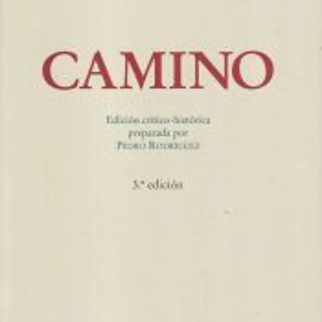 Camino : edición crítico-histórica 1
