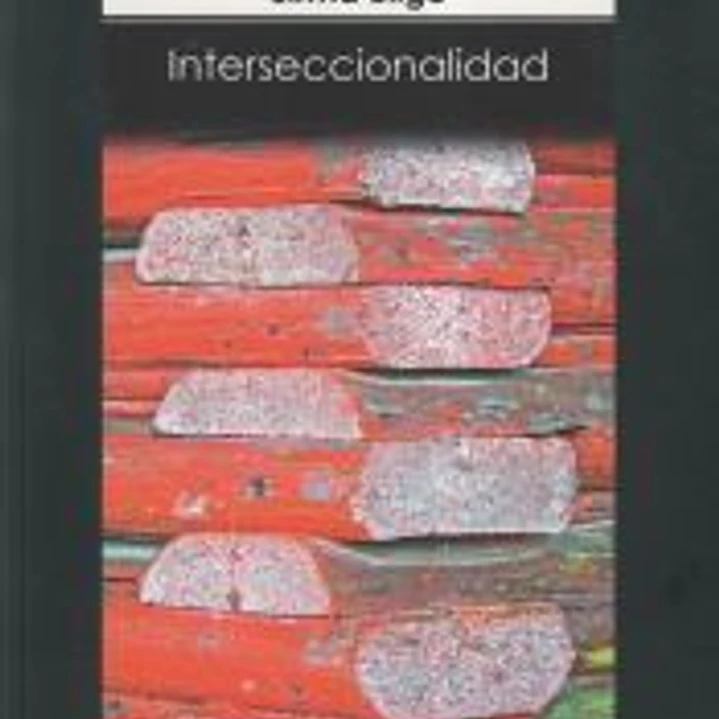 Interseccionalidad 1