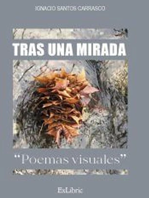 TRAS UNA MIRADA. POEMAS VISUALES