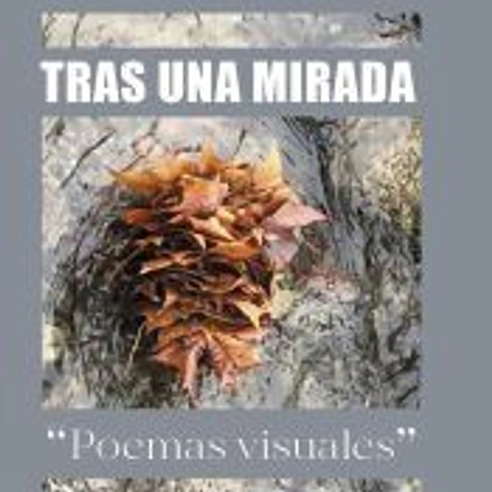 TRAS UNA MIRADA. POEMAS VISUALES 1