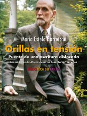 Orillas en tensión. Puente de una escritura dislocada