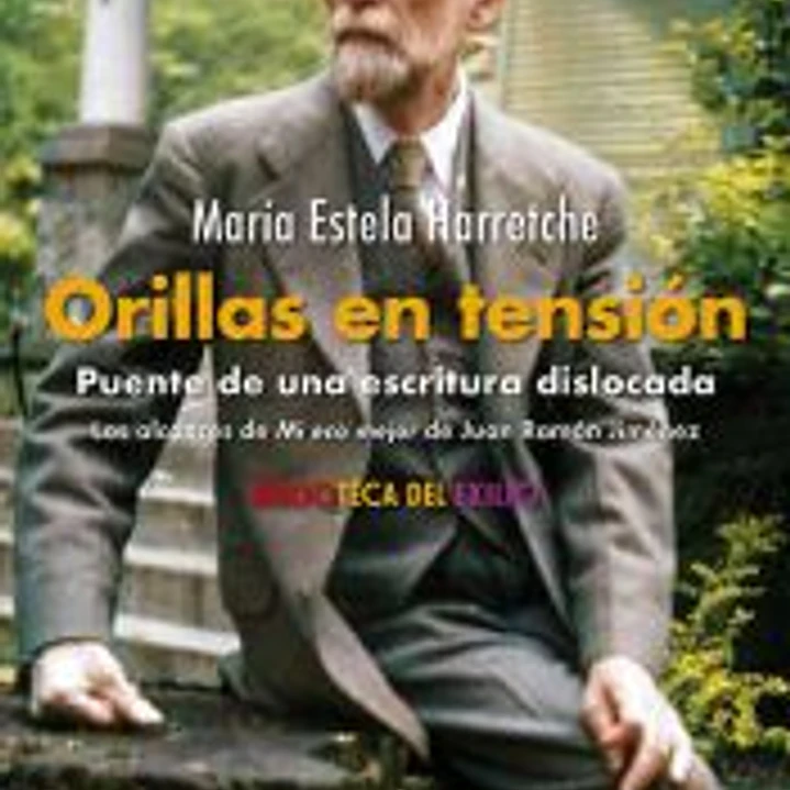Orillas en tensión. Puente de una escritura dislocada 1