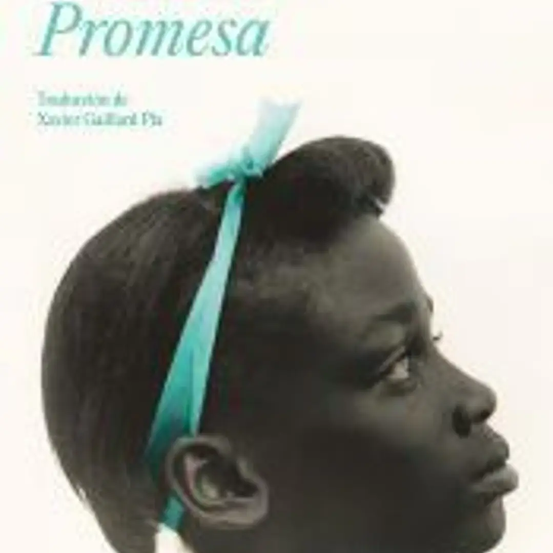 Promesa 1
