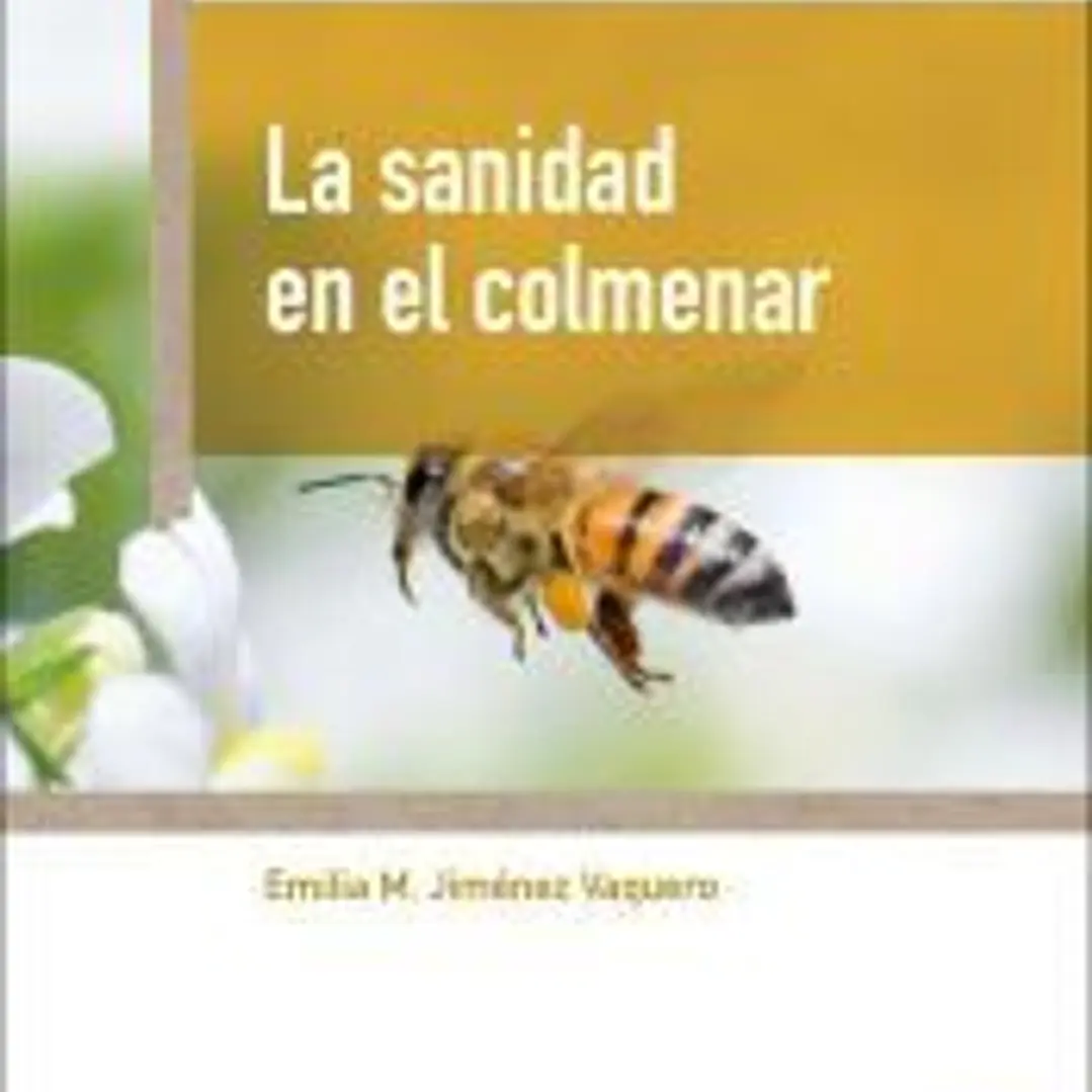 La sanidad en el colmenar 1